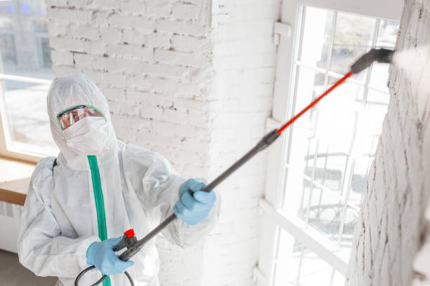 Best Biohazard Mold Removal  in Lakewood, SC